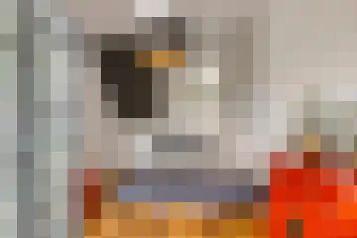 Bolwerk 16 Amersfoort thumbnail 15