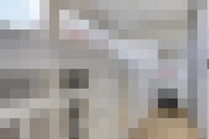 Bolwerk 16 Amersfoort thumbnail 36