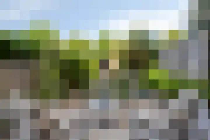 Bolwerk 16 Amersfoort thumbnail 41