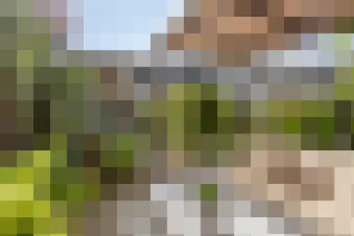 Bolwerk 16 Amersfoort thumbnail 44
