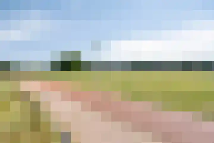 Bolwerk 16 Amersfoort thumbnail 48