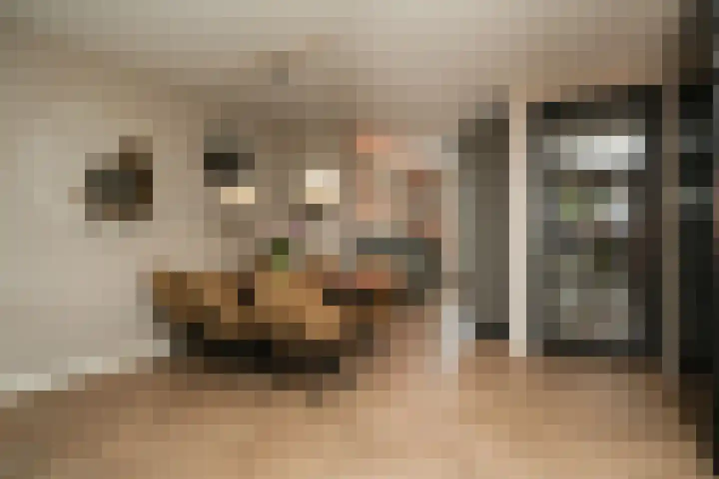 Bolwerk 17 Meteren thumbnail 5