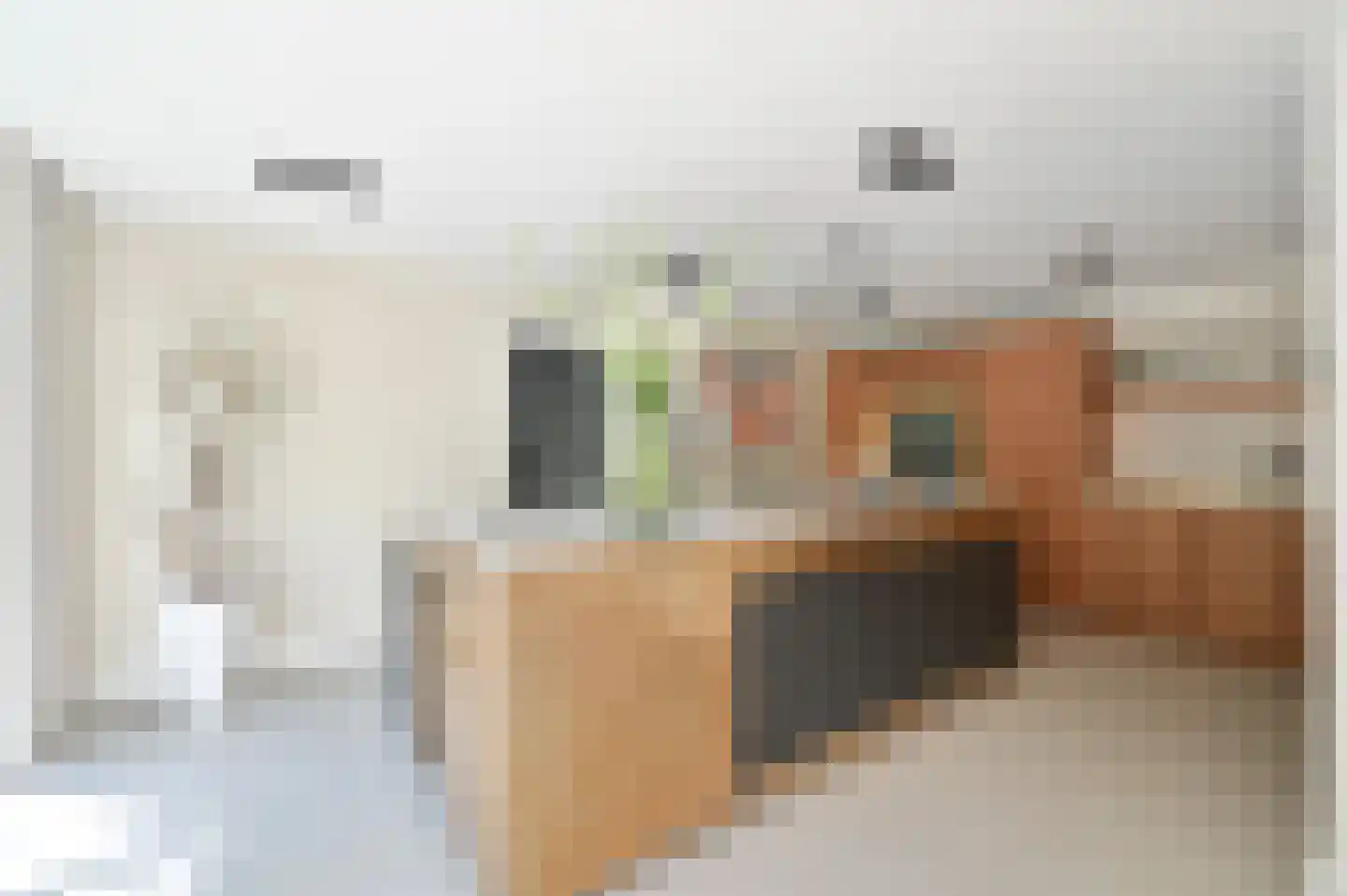 Bolwerk 21 Naarden thumbnail 12