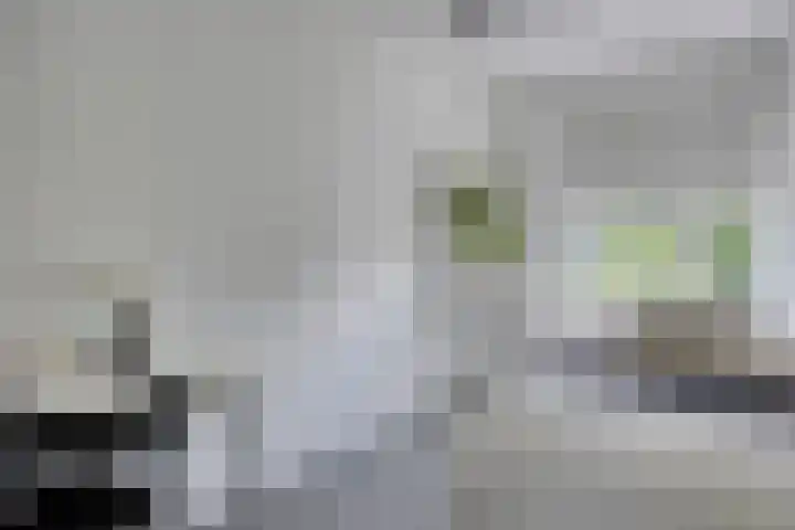 Bolwerk 24 Amersfoort thumbnail 22