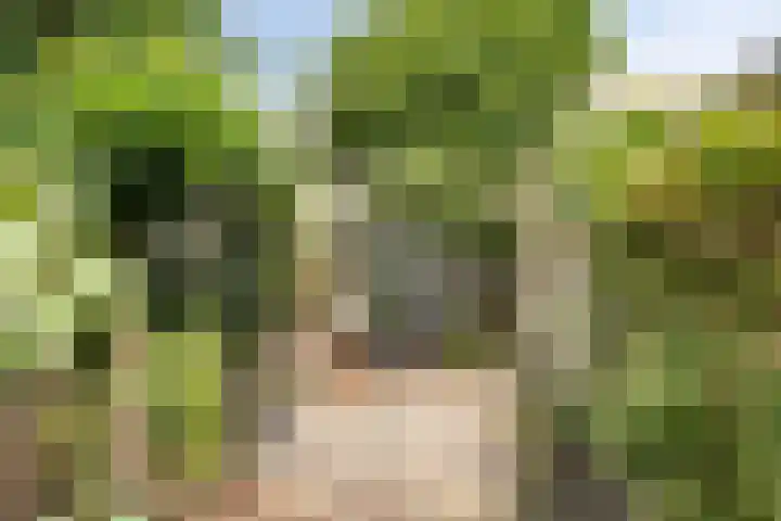 Bolwerk 24 Amersfoort thumbnail 4