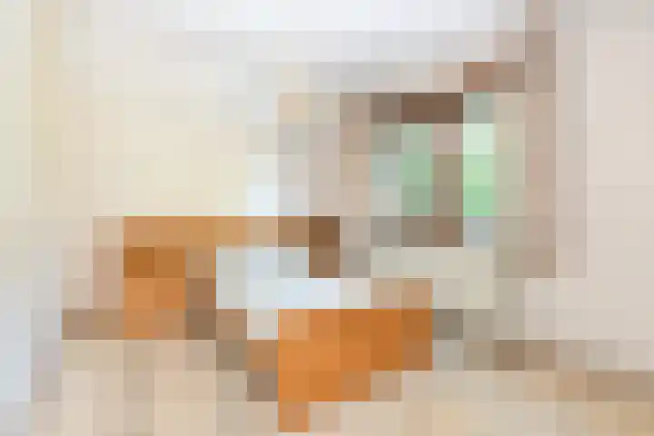 Bolwerk 27 Naarden thumbnail 20
