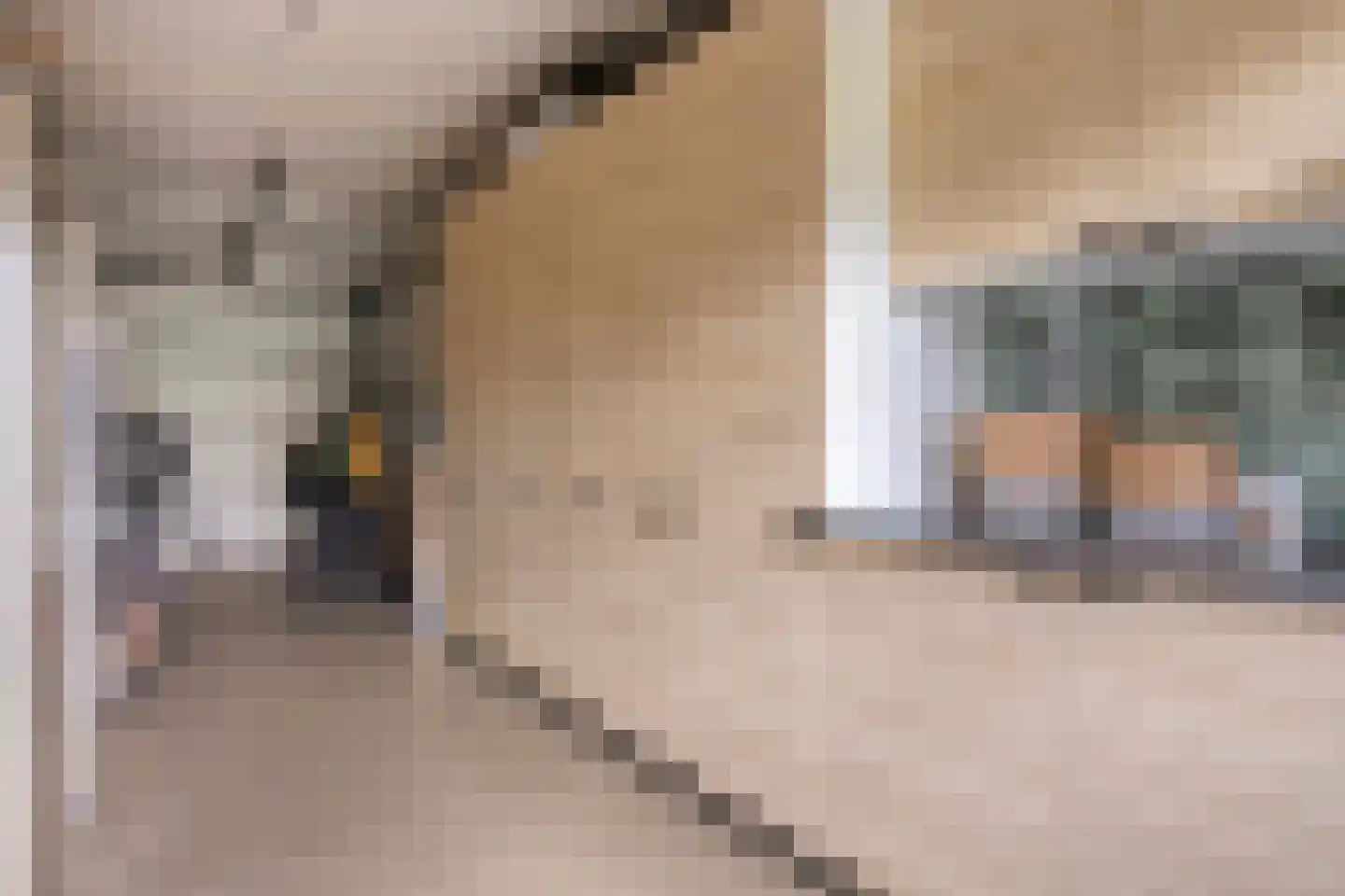 Bolwerk 29 Sas van Gent thumbnail 11