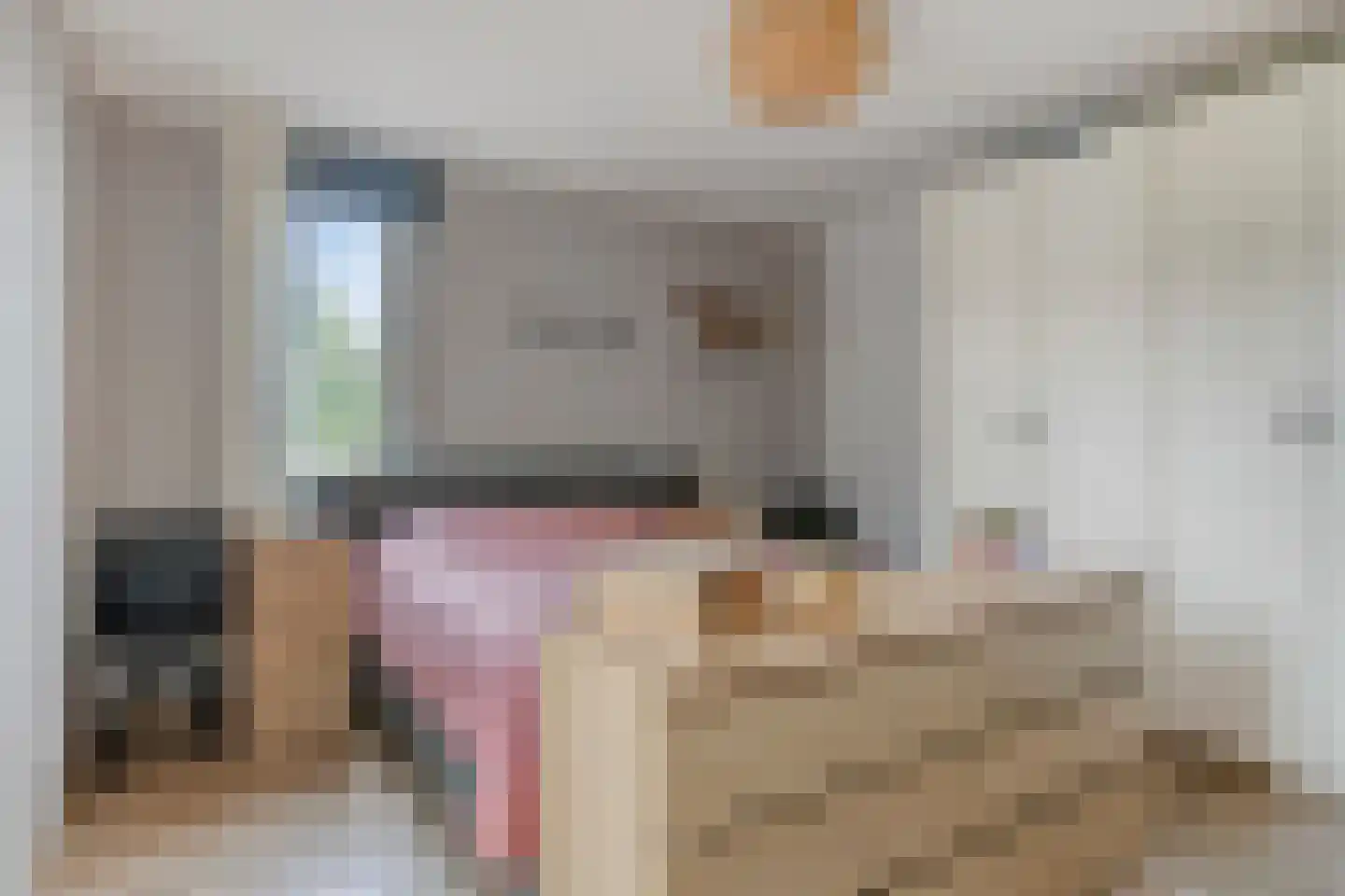Bolwerk 29 Sas van Gent thumbnail 12