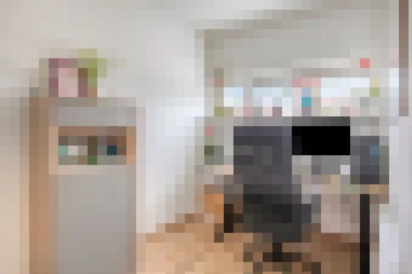Bolwerk 29 Sas van Gent thumbnail 16