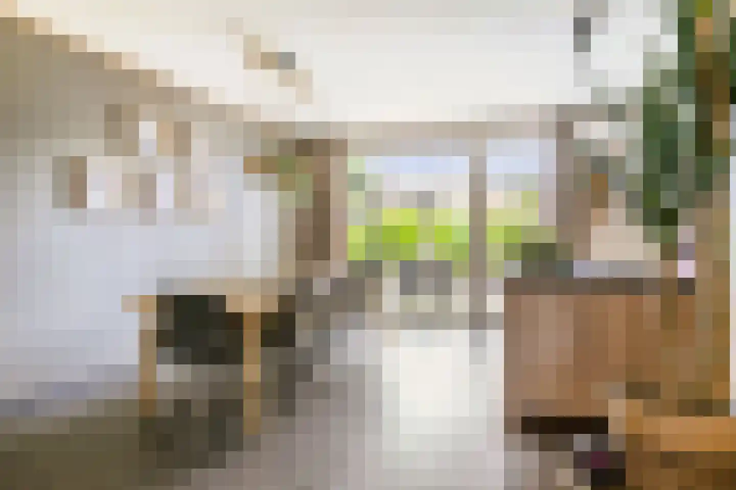 Bolwerk 29 Sas van Gent thumbnail 7