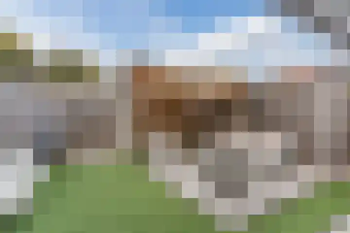 Bolwerk 35 Geldrop thumbnail 32