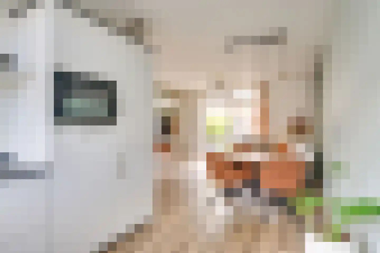 Bolwerk 37 Geldrop thumbnail 15