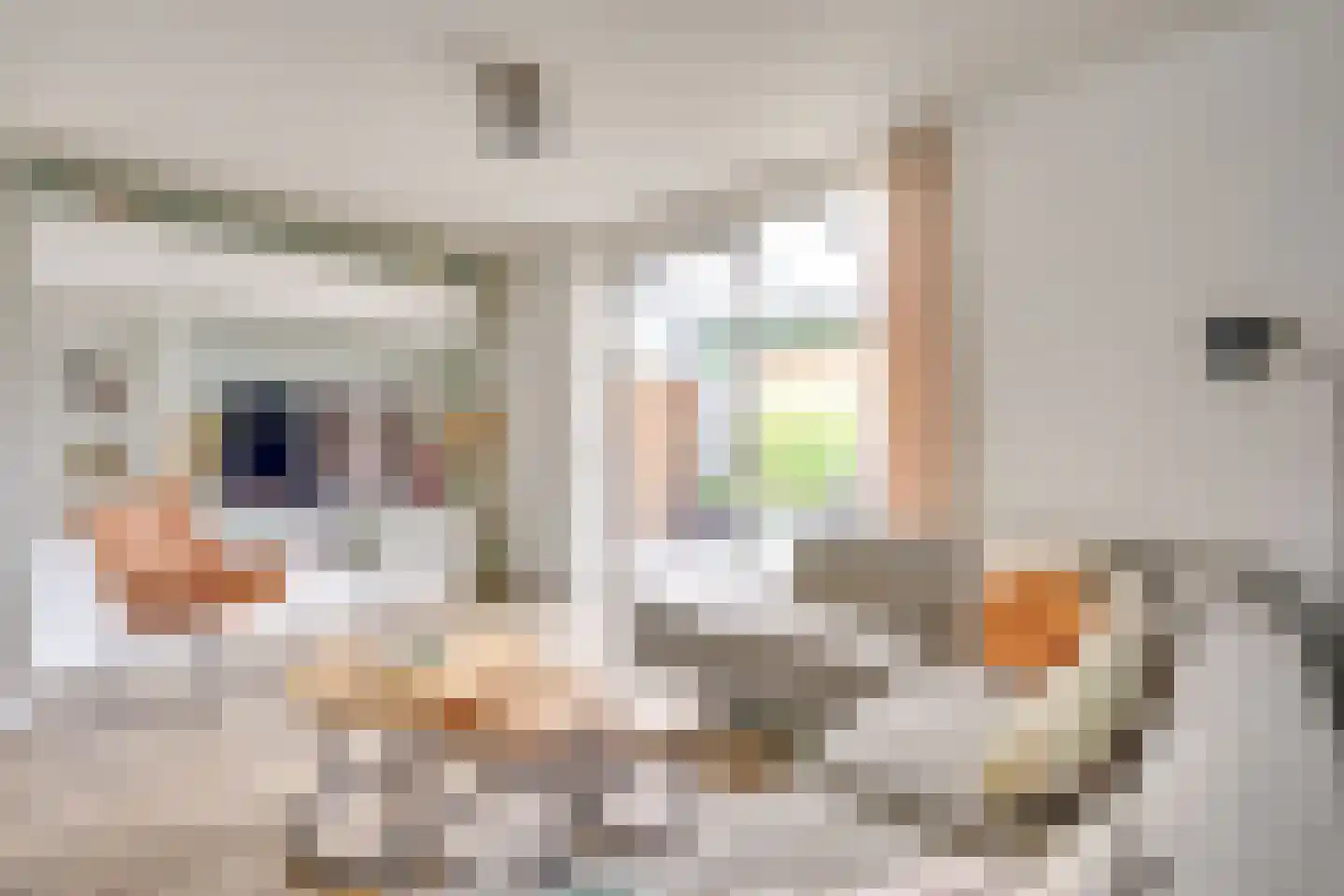 Bolwerk 37 Geldrop thumbnail 9