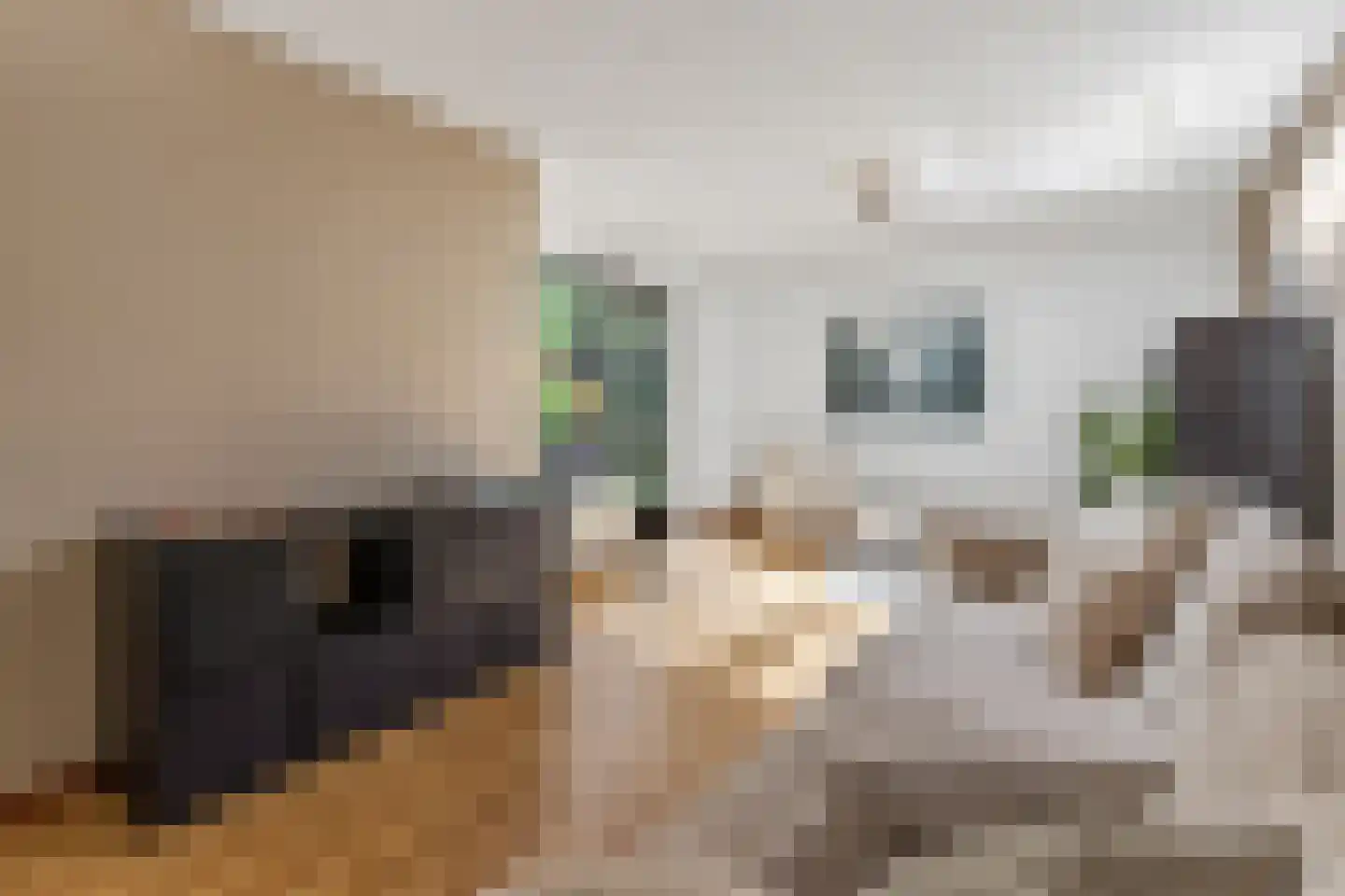 Bolwerk 5 Naarden thumbnail 15