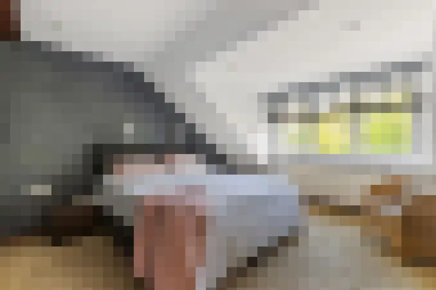 Bolwerk 5 Naarden thumbnail 18