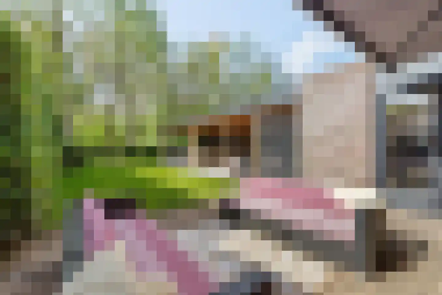 Bolwerk 5 Naarden thumbnail 31