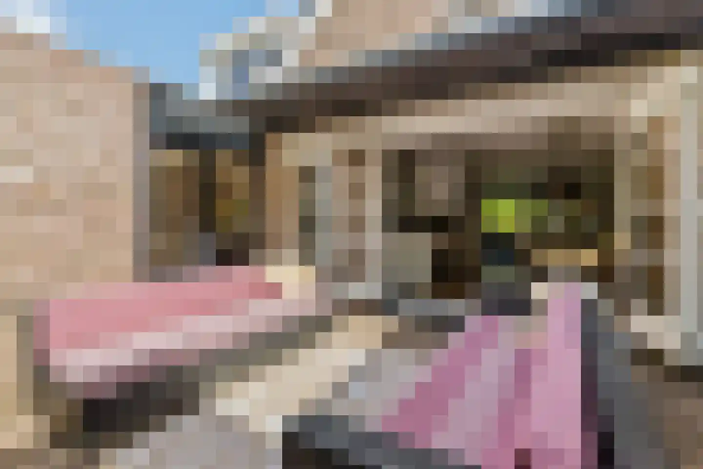 Bolwerk 5 Naarden thumbnail 32