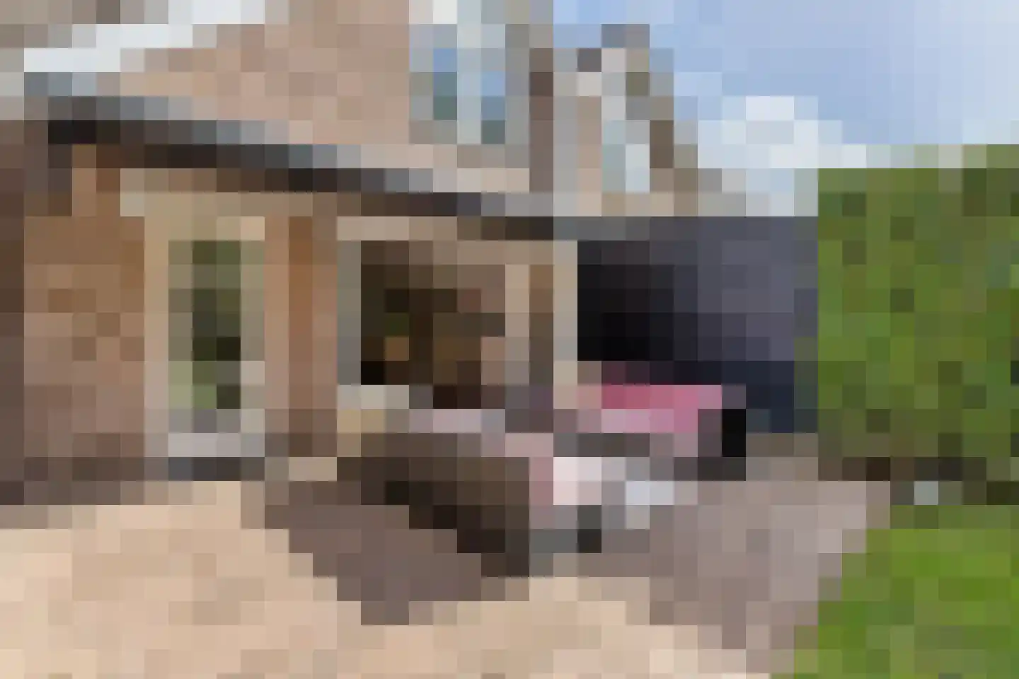 Bolwerk 5 Naarden thumbnail 33