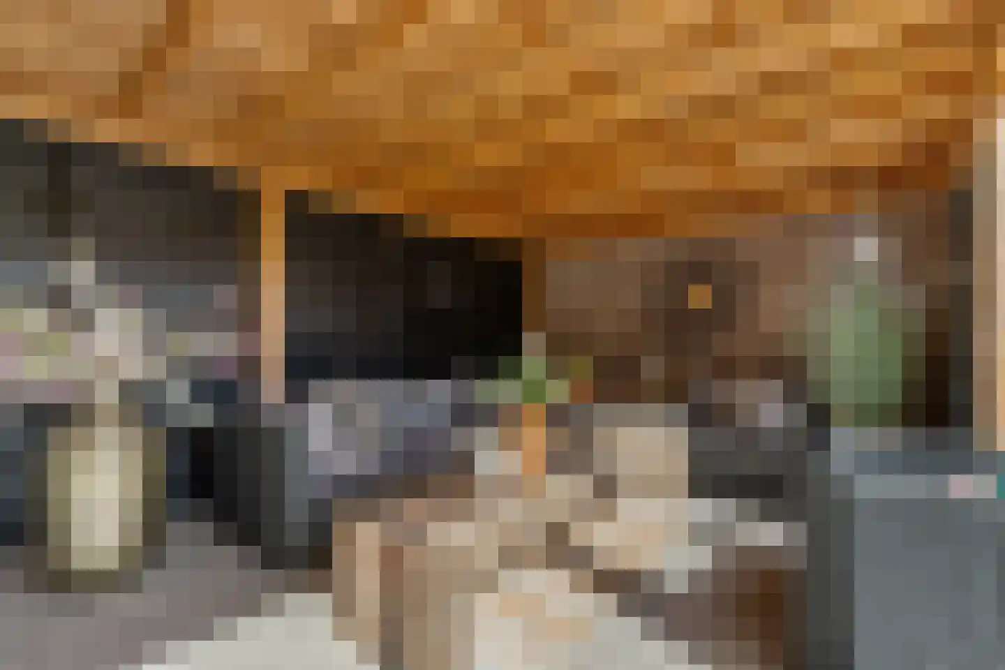 Bolwerk 5 Naarden thumbnail 38