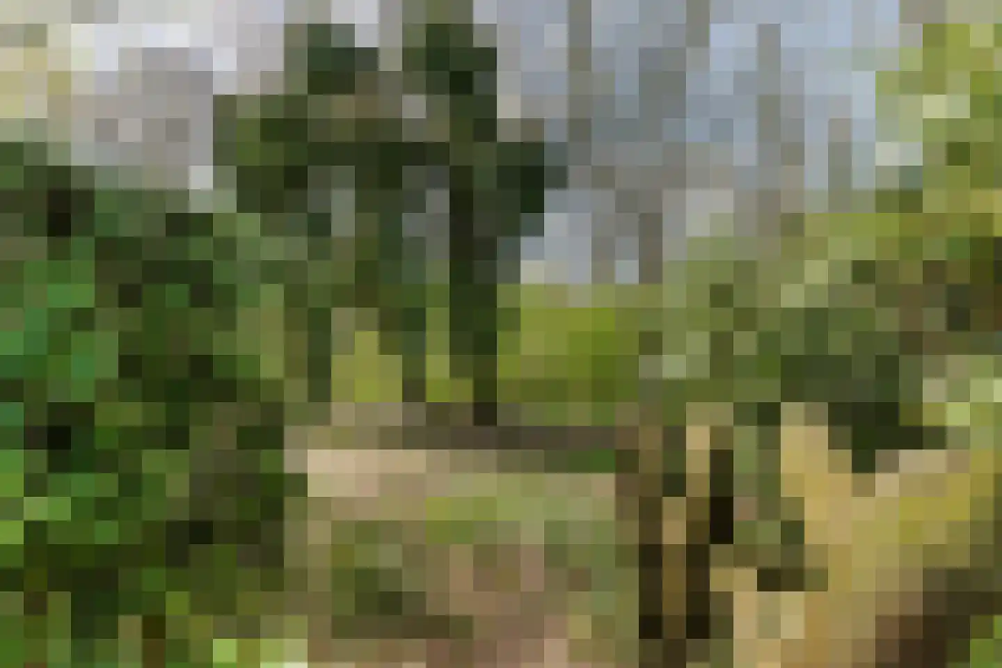 Bolwerk 5 Naarden thumbnail 43