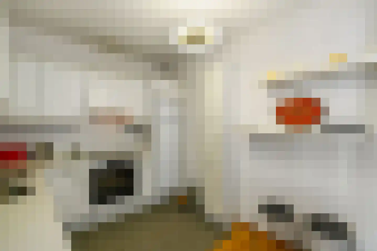Bolwerk 50 Arnhem thumbnail 26