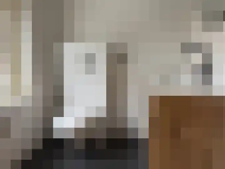 Bolwerk 52 Sas van Gent thumbnail 10