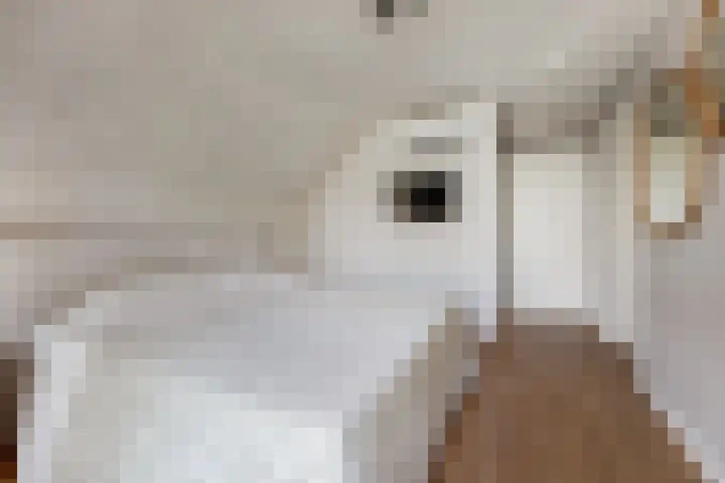 Bolwerk 52 Vijfhuizen thumbnail 13
