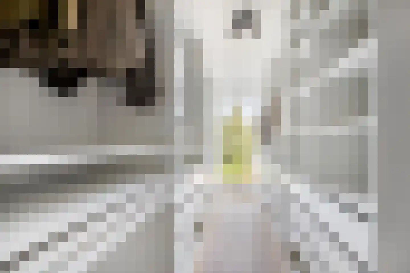 Bolwerk 52 Vijfhuizen thumbnail 14