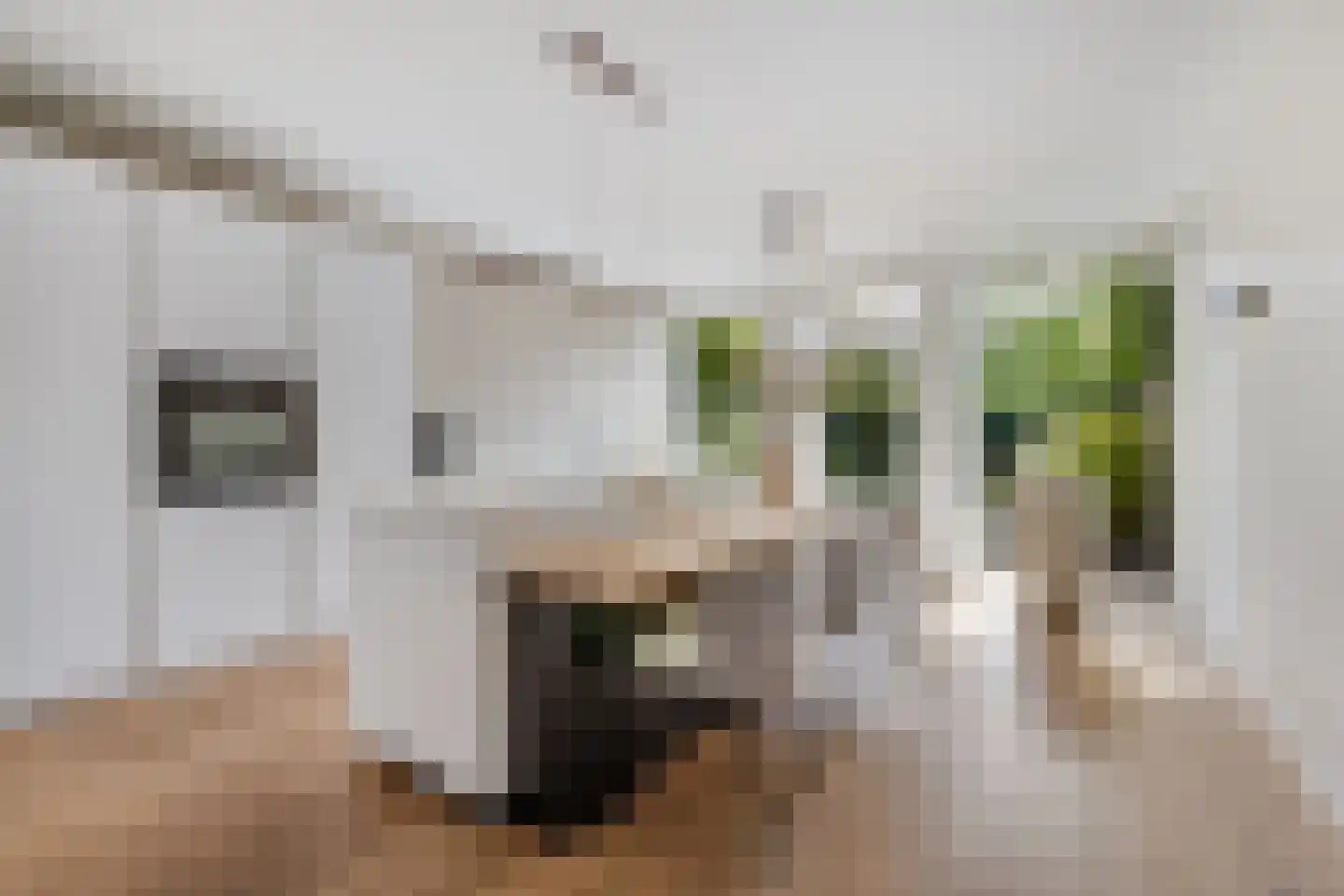 Bolwerk 52 Vijfhuizen thumbnail 6