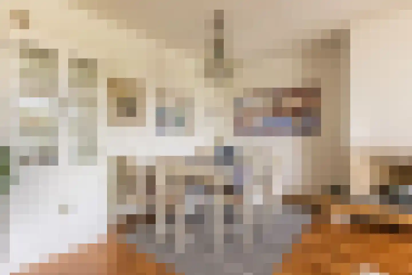 Bolwerk 55 Arnhem thumbnail 10