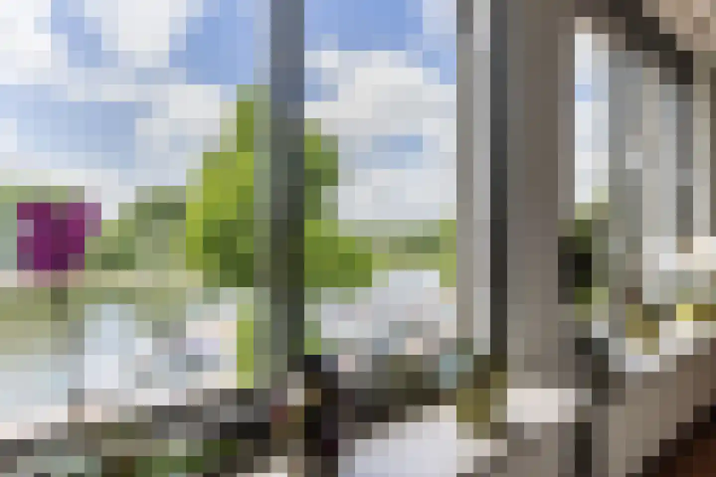 Bolwerk 55 Arnhem thumbnail 12