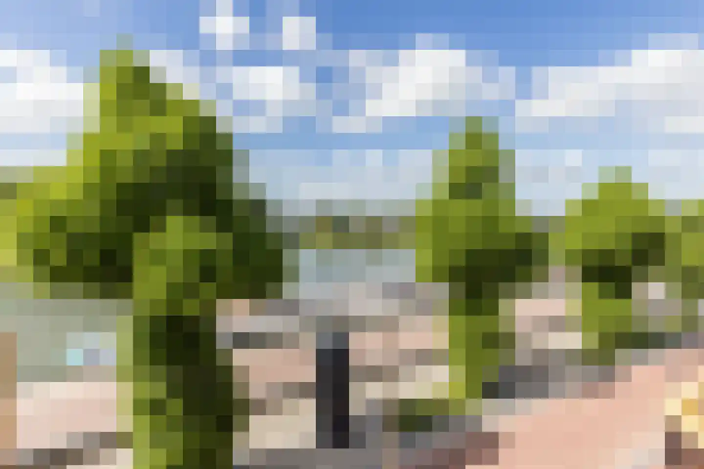 Bolwerk 55 Arnhem thumbnail 19