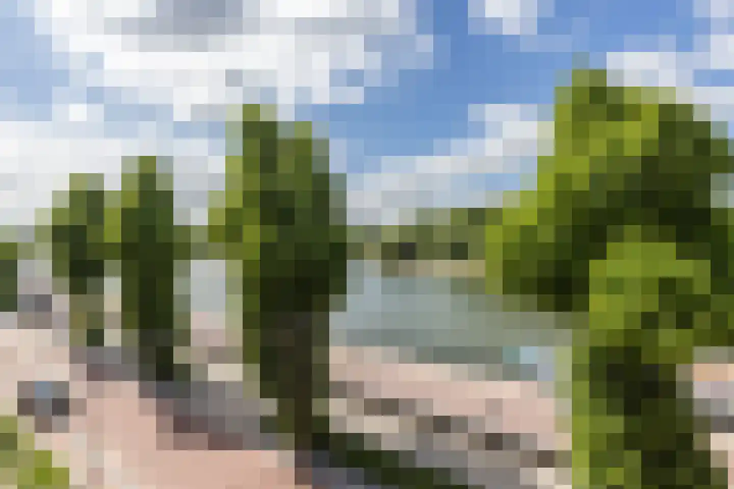 Bolwerk 55 Arnhem thumbnail 20