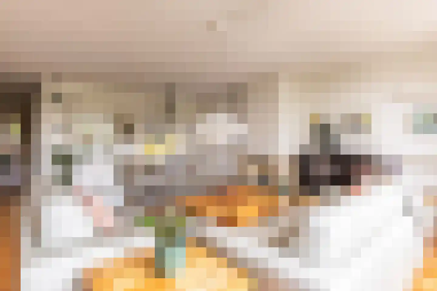 Bolwerk 55 Arnhem thumbnail 8