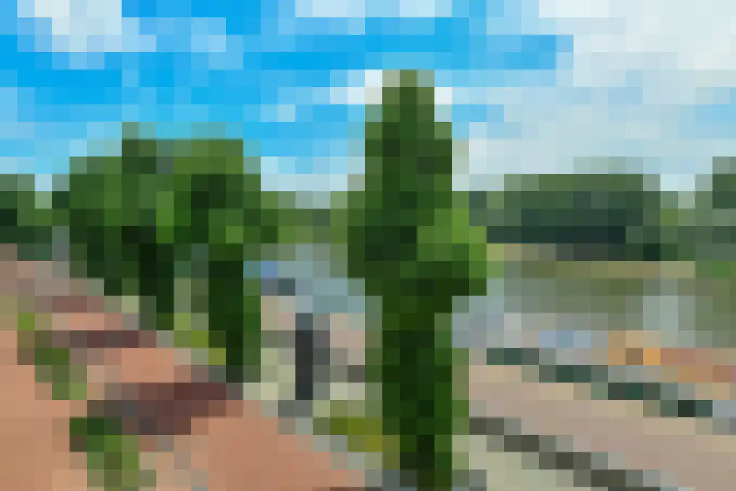 Bolwerk 58 Arnhem thumbnail 19