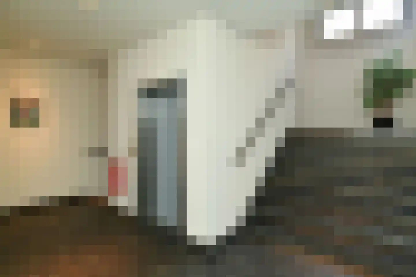 Bolwerk 58 Arnhem thumbnail 5