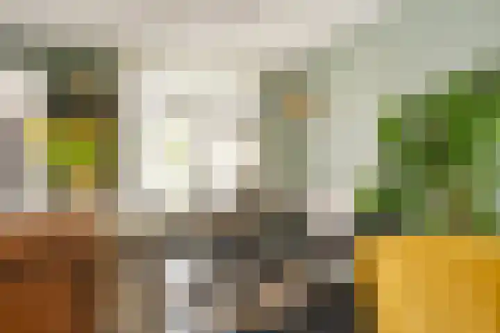 Bolwerk 6 Kampen thumbnail 10