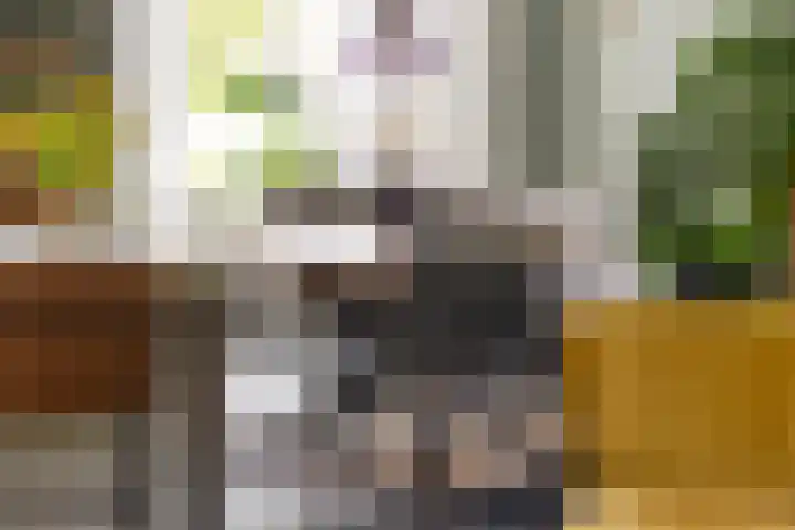 Bolwerk 6 Kampen thumbnail 11