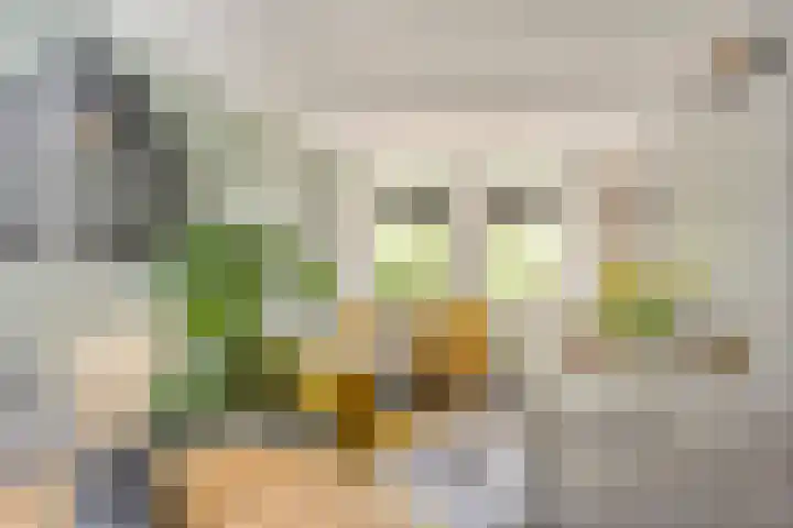 Bolwerk 6 Kampen thumbnail 12