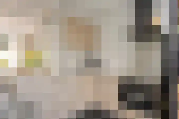 Bolwerk 6 Kampen thumbnail 14