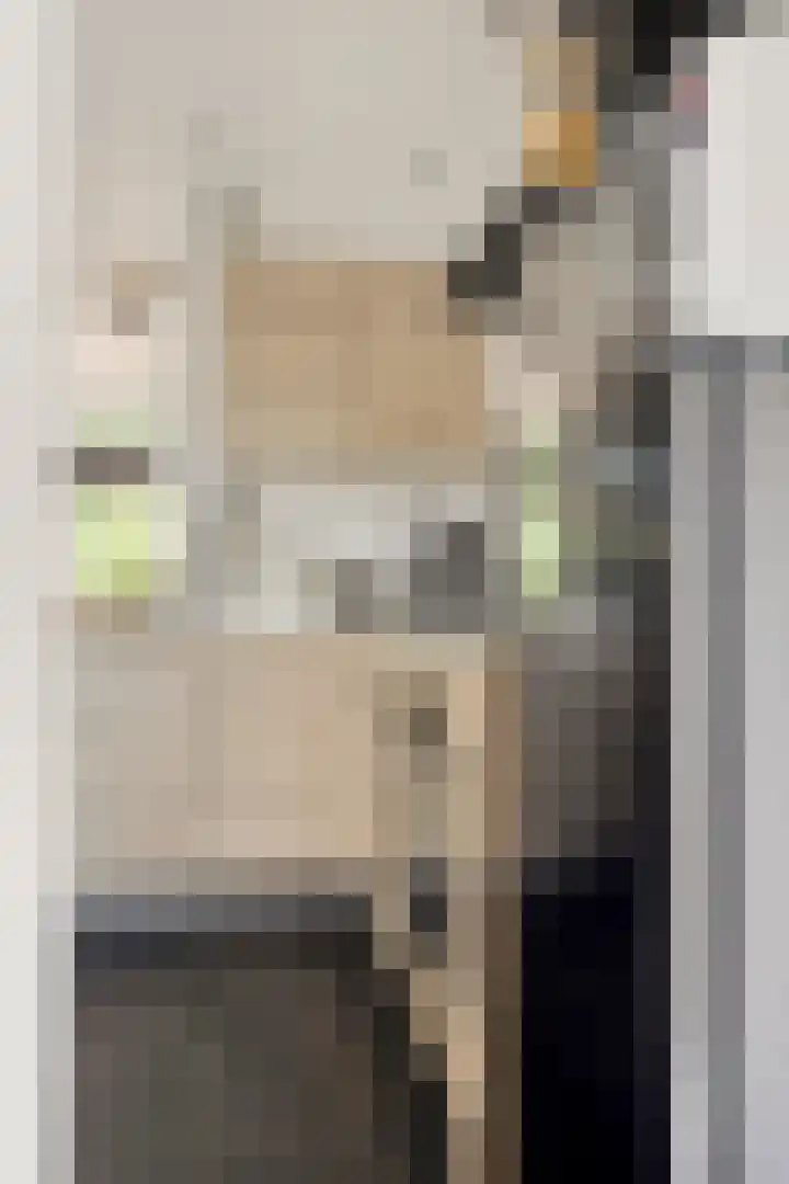 Bolwerk 6 Kampen thumbnail 15