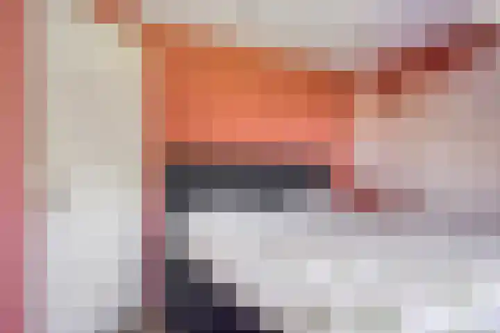 Bolwerk 6 Kampen thumbnail 21