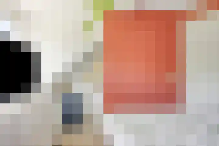 Bolwerk 6 Kampen thumbnail 22