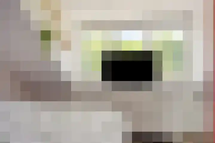Bolwerk 6 Kampen thumbnail 23