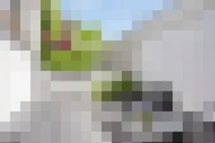 Bolwerk 6 Kampen thumbnail 30