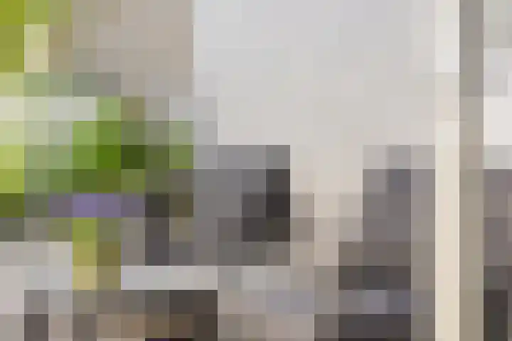 Bolwerk 6 Kampen thumbnail 31