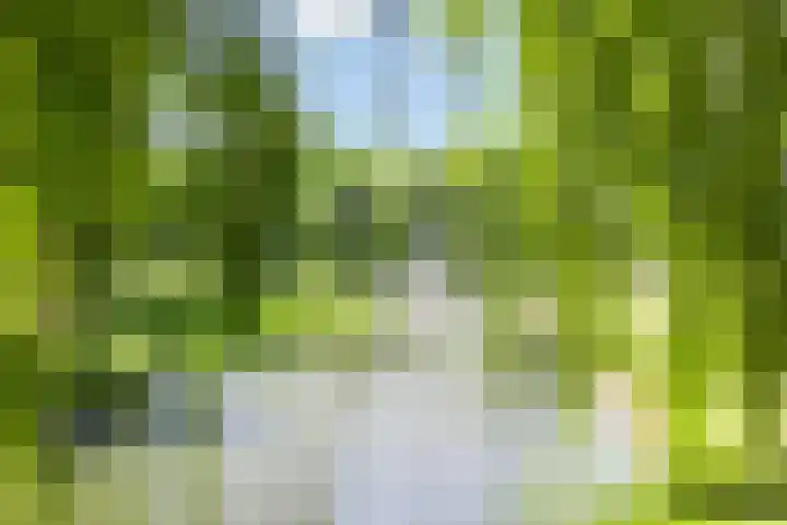 Bolwerk 6 Kampen thumbnail 33