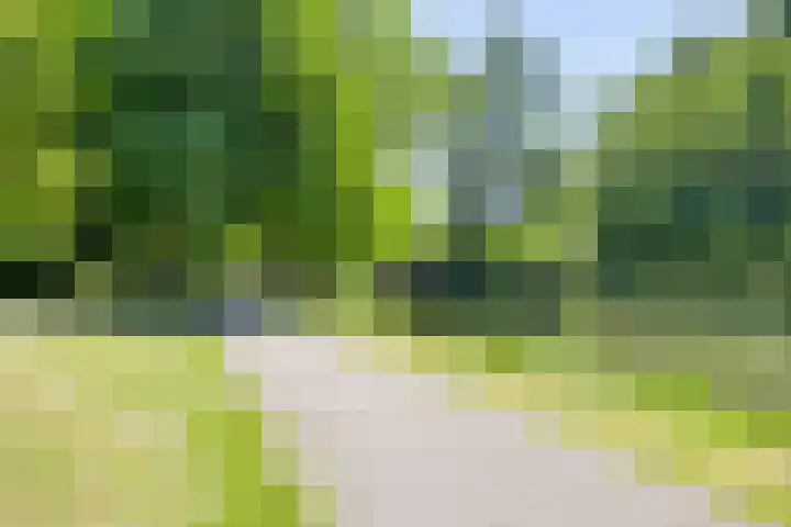 Bolwerk 6 Kampen thumbnail 34
