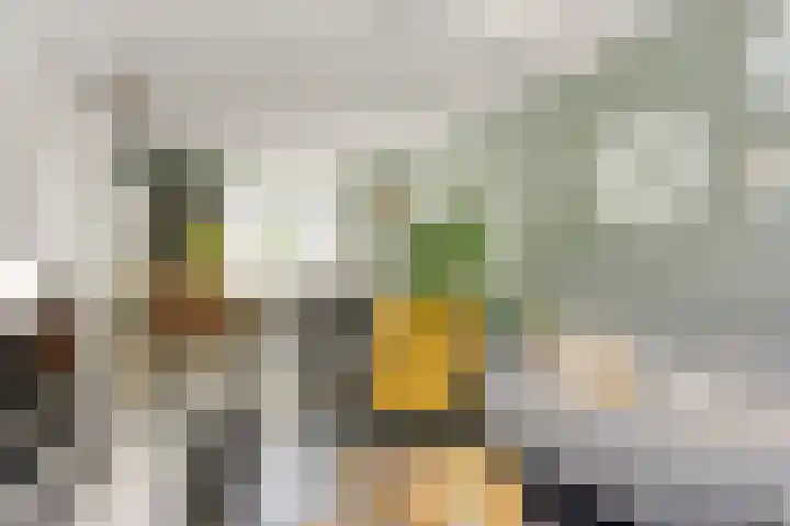 Bolwerk 6 Kampen thumbnail 7