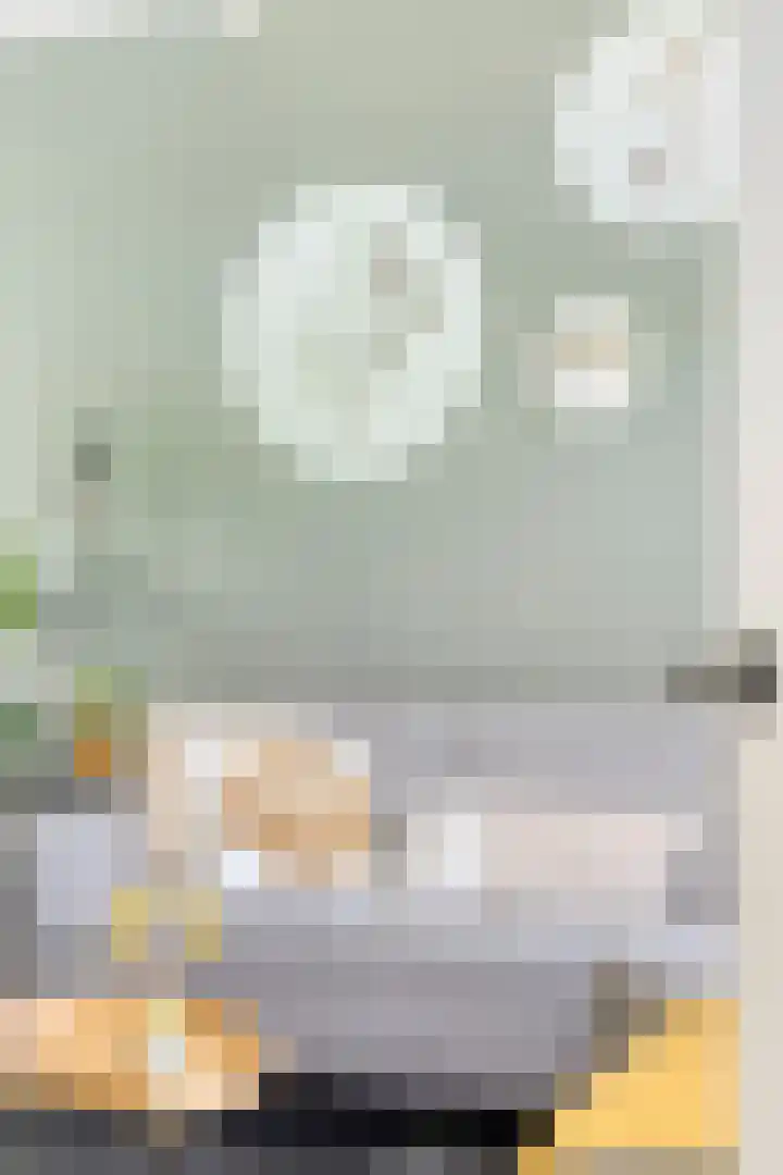 Bolwerk 6 Kampen thumbnail 8